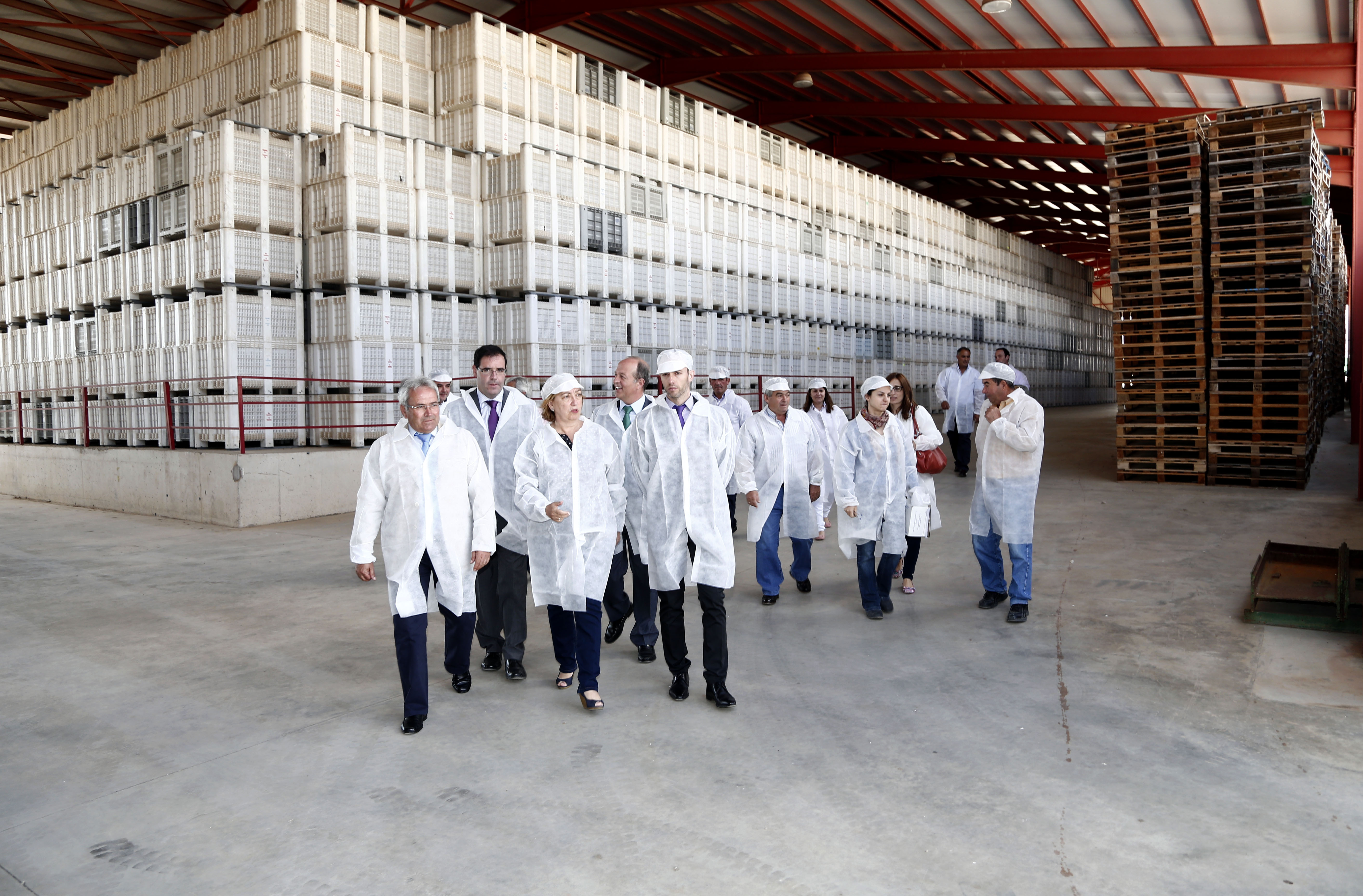 inestable Anfibio Libro Guinness de récord mundial Soriano visita la Cooperativa Ajos San Isidro III | Gobierno de Castilla-La  Mancha