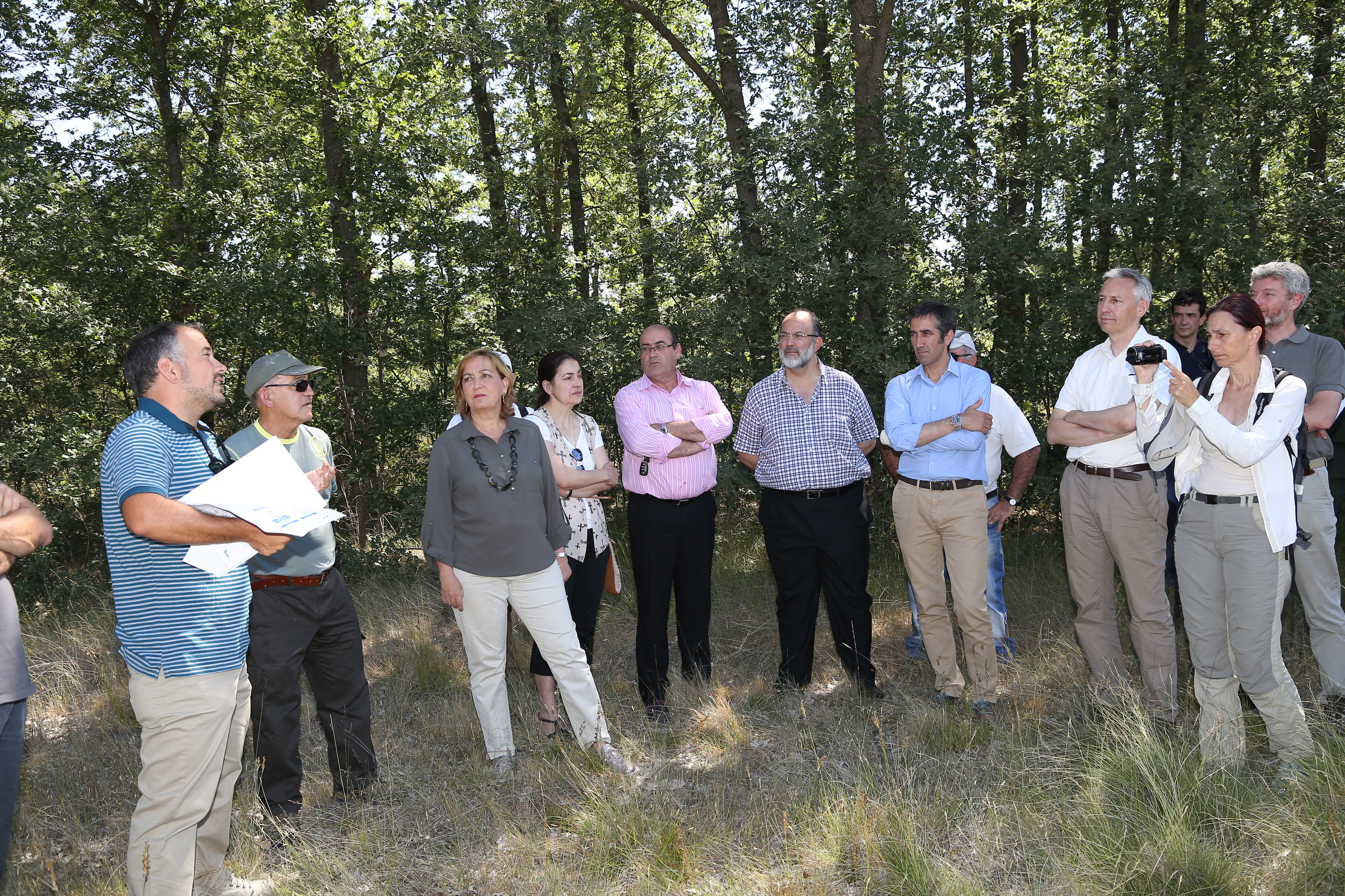 Soriano presenta Premio Natura 2000 concedido al Rebollar de Navalpotro II  | Gobierno de Castilla-La Mancha