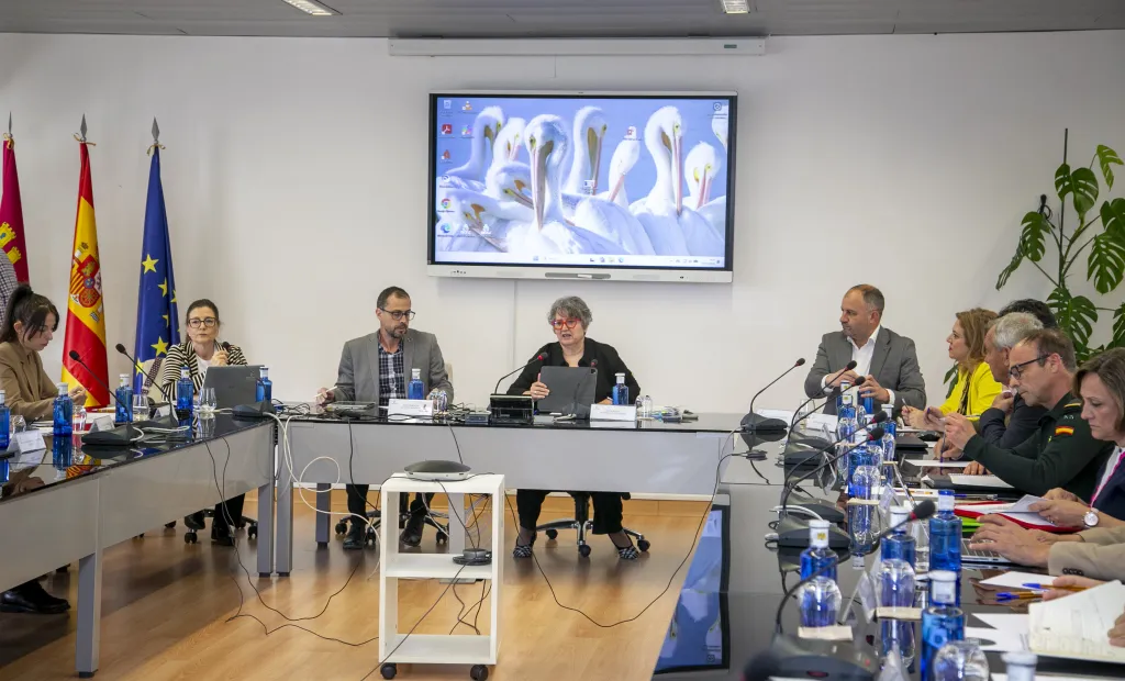 El Gobierno de Castilla-La Mancha constituye la Mesa Regional del Conejo de Monte para coordinar la lucha contra la sobrepoblación de la especie en el territorio