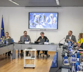 El Gobierno de Castilla-La Mancha constituye la Mesa Regional del Conejo de Monte para coordinar la lucha contra la sobrepoblación de la especie en el territorio