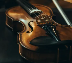 Violín
