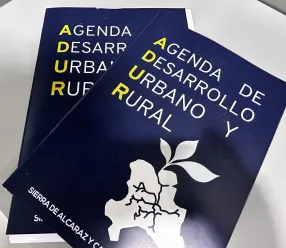 El Gobierno regional abordará las necesidades comunes en las zonas despobladas a través del Estatuto del Pequeño Municipio