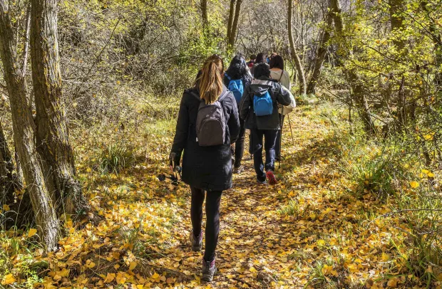 La Junta pone en marcha tres rutas interpretadas con motivo de la celebración del Día Internacional de los Bosques