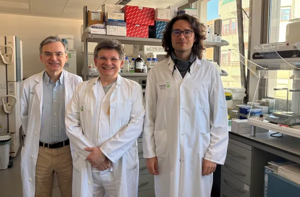 Investigadores de la Gerencia de Atención Integrada de Albacete, dependiente del Servicio de Salud de Castilla-La Mancha, han participado en una investigación sobre el síndrome de Satoyoshi