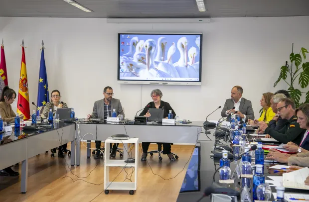 El Gobierno de Castilla-La Mancha constituye la Mesa Regional del Conejo de Monte para coordinar la lucha contra la sobrepoblación de la especie en el territorio