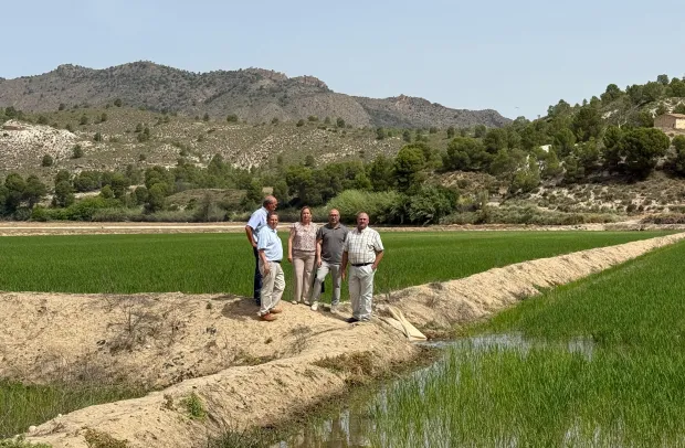 El Gobierno regional destaca que para Castilla-La Mancha el arroz de Calasparra es una producción estratégica por su calidad y sostenibilidad