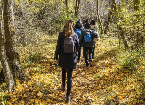 La Junta pone en marcha tres rutas interpretadas con motivo de la celebración del Día Internacional de los Bosques