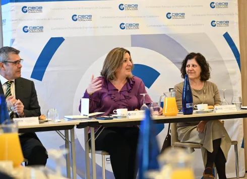 La nueva Ley de Inversiones Empresariales Estratégicas iniciará mañana su recorrido de exposición pública en el Portal de Participación del Gobierno de Castilla-La Mancha hasta el próximo 21 de abril, en la recta final de la tramitación administrativa de la ley. Así lo ha señalado la consejera de Economía, Empresas y Empleo, Patricia Franco.