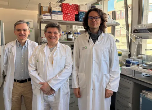 Investigadores de la Gerencia de Atención Integrada de Albacete, dependiente del Servicio de Salud de Castilla-La Mancha, han participado en una investigación sobre el síndrome de Satoyoshi