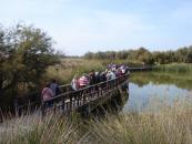 411 personas mayores disfrutan de los parajes naturales de Las Tablas, Las Barrancas y Zorita con el programa ‘Rutas Senderistas’ 