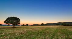 Castilla-La Mancha lidera el crecimiento del gasto turístico del país de turistas residentes en el primer trimestre del año 