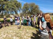 El Gobierno de Castilla-La Mancha sigue impulsando la reintroducción del lince ibérico y aumenta sus zonas de presencia estable y reproductora en la región