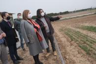 La consejera de Educación, Cultura y Deportes, Rosa Ana Rodríguez, visita el Centro de Investigación Apícola y Agroambiental de Marchamalo