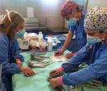 El Hospital General de Villarrobledo optimiza su sistema de trazabilidad para el instrumental y material quirúrgico