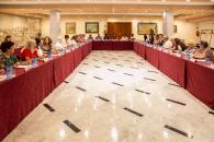 La consejera de Igualdad y portavoz del Gobierno regional, Blanca Fernández, preside la reunión del Consejo Regional de las Mujeres
