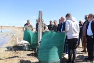 Acto de liberación de 3 ejemplares de flamencos en Pétrola