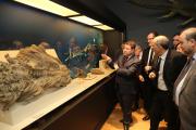 Inauguración de la tercera fase del Museo de Paleontología