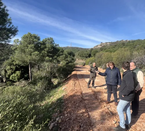 El delegado provincial de Desarrollo Sostenible durante su visita al monte público 'Quinto de Enmedio'