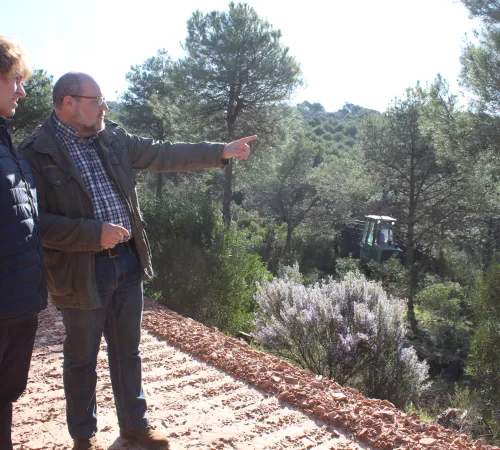 El delegado provincial de Desarrollo Sostenible durante su visita al monte público 'Quinto de Enmedio'