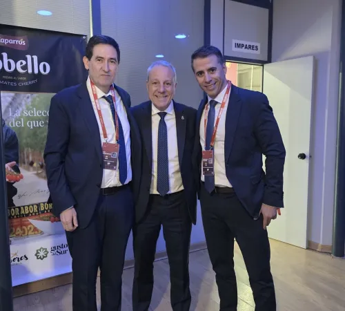 Castilla-La Mancha triplica en los últimos diez años los clubes en la élite del balonmano nacional