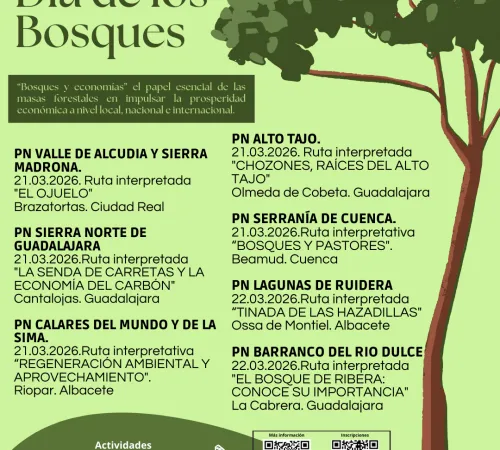 El Gobierno regional organiza este fin de semana actividades para conmemorar el Día Internacional de los Bosques en sus siete parques naturales
