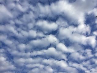cielo azul con nubes tipo cirros