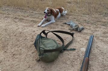 Reglamento General de aplicación de la Ley de Caza Castilla-La Mancha.