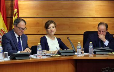 Comisión de Bienestar Social en las Cortes de Castilla-La Mancha