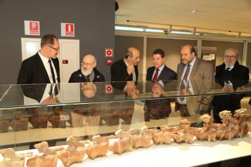 El Museo de Paleontología de Castilla-La Mancha celebra unas jornadas de puertas abiertas para dar a conocer sus nuevos contenidos 