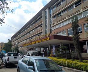 Una doctora del servicio de Medicina Intensiva del Hospital de Toledo participa en Etiopia en un programa de formación de especialistas 