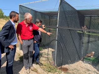 El Gobierno de Castilla-La Mancha respalda la recuperación de aves rapaces en la región