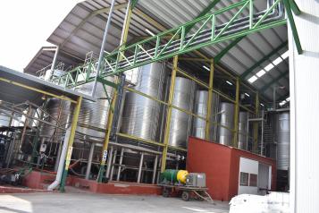 AGRICULTURA VITICULTORES