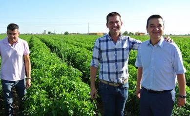 Castilla-La Mancha ha abonado ya cerca de 113 millones de euros para garantizar el relevo generacional en el campo y su modernización 