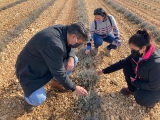 INCORPORACIÓN JOVENES AGRICULTURA 