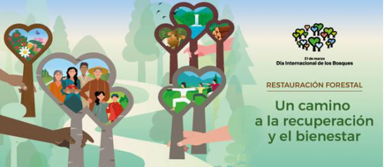 El Gobierno de Castilla-La Mancha conmemora en la provincia el Día Forestal Mundial con alumnos de Primaria de Carrión de Calatrava 