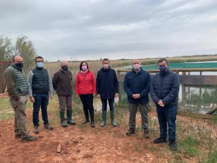 El Gobierno de Castilla-La Mancha continua los trabajos de recuperación de la cerceta pardilla en la región con la suelta 20 ejemplares en el complejo Lagunar de Alcázar de San Juan
