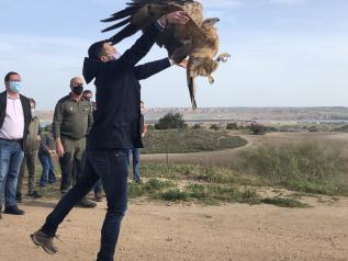 El Gobierno de Castilla-La Mancha impulsa el turismo sostenible y de naturaleza organizando actividades con motivo del Día Mundial de las Aves y las Aves Migratorias 