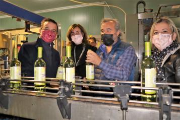 Abonado el primer pago de 2 millones de euros de la nueva campaña de reestructuración de viñedo para hacer más competitivo al sector vitivinícola