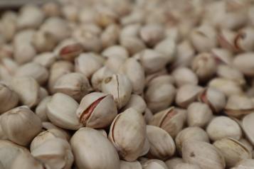 Más de 82 por ciento de la superficie de pistacho en España se encuentra en Castilla-La Mancha, siendo la región líder también en producción