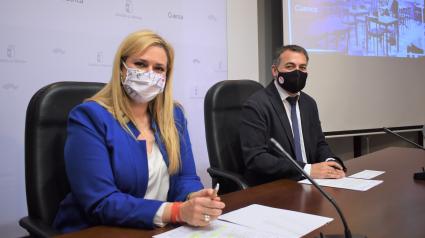 DELEGADA INVERSIONES EMPLEABILIDAD
