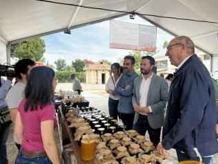 El Gobierno de Castilla-La Mancha apoya al sector apícola regional, un referente internacional que genera riqueza y empleo en el medio rural