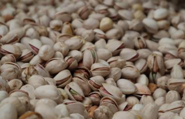 En los últimos cinco años, más de 2.200 agricultores se han formado en la poda del pistachero, un cultivo en el que Castilla-La Mancha es líder nacional