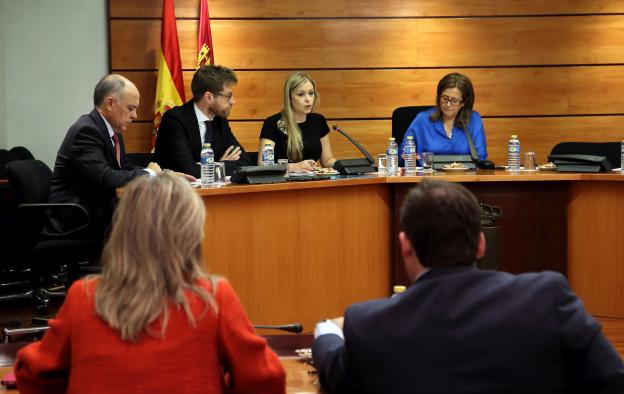 Elena de la Cruz comparece en la Comisión de Sostenibilidad de las Cortes 