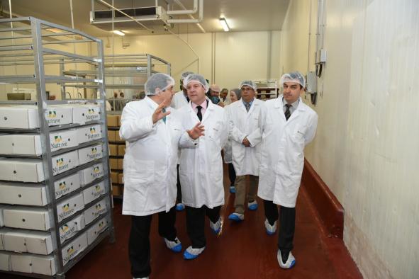 El presidente de Castilla-La Mancha, Emiliano García-Page, realiza visita a las instalaciones de la compañía avícola Nutrave, en Bargas