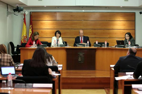 Reyes Estevez comparece en la Comision de Presupuestos