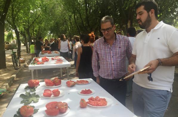 Fiesta del Tomate