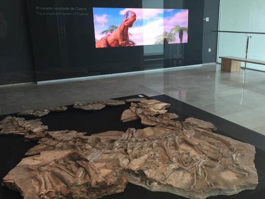 El renovado Museo de Paleontología ha recibido 47 reservas de centros educativos de Castilla-La Mancha, Madrid y la Comunidad Valenciana
