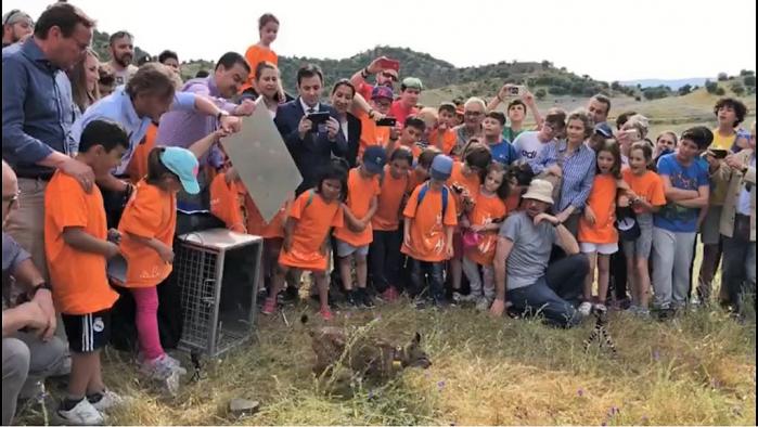 El consejero de Agricultura, Medio Ambiente y Desarrollo Rural, Francisco Martínez Arroyo, participa en la suelta de un ejemplar de lince ibérico en Córdoba