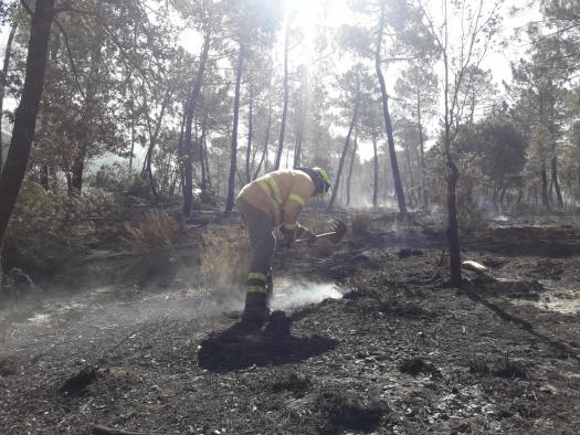 Estabilizado el incendio en Barchín del Hoyo