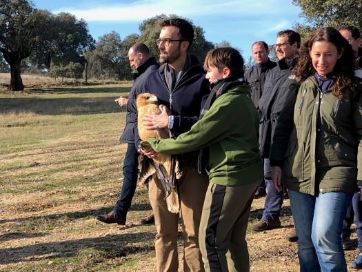 El director general de Medio Natural y Biodiversidad, Félix Romero, participa en la suelta de un águila imperial y un milano real recuperados en el Centro de Estudios de Rapaces Ibéricas 